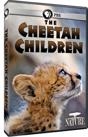 Dvd Cheetah